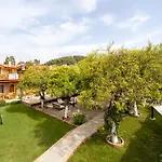 Orange Garden