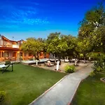Orange Garden