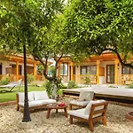 Ξενοδοχείο Orange Garden