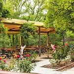 Orange Garden 3*
