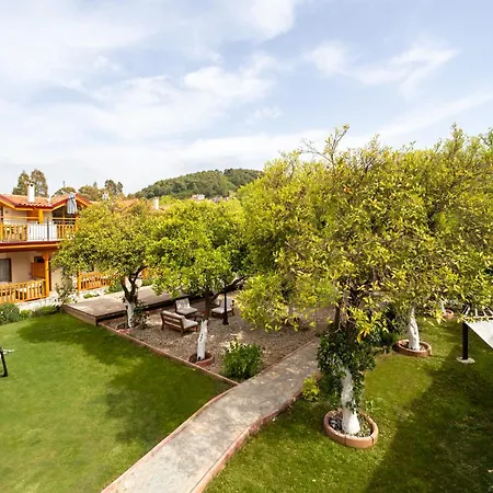 Orange Garden