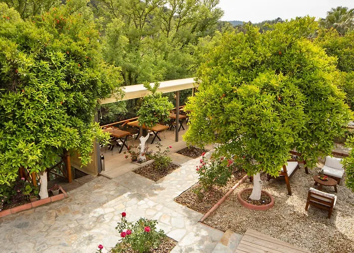Orange Garden 3* Akyaka (Mugla)
