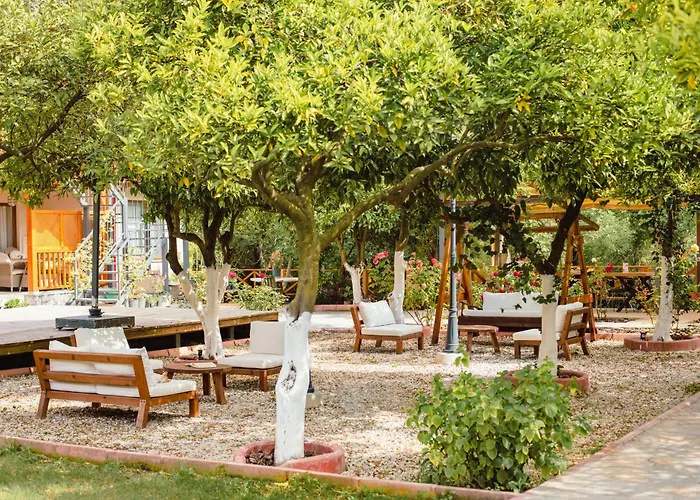 Orange Garden 3*