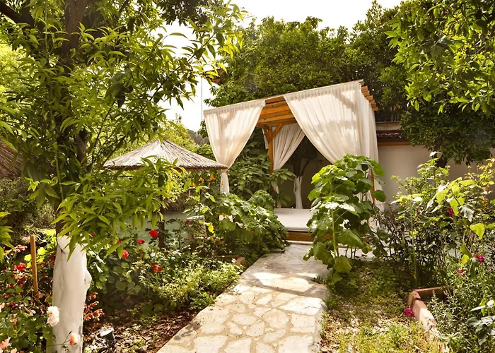 Orange Garden
