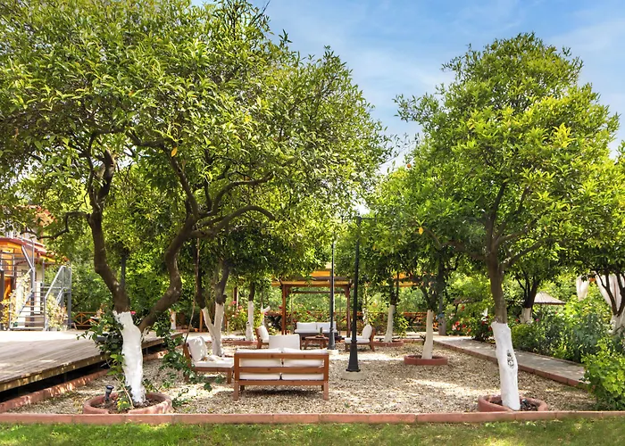 Orange Garden 3*