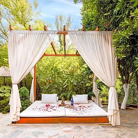 Orange Garden 3*
