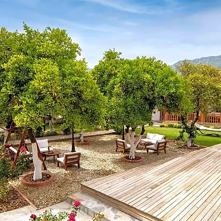 Hotel Orange Garden