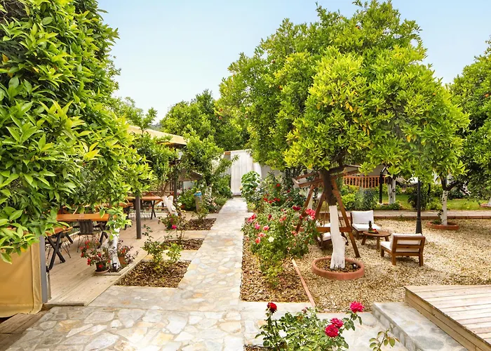 Orange Garden Otel *