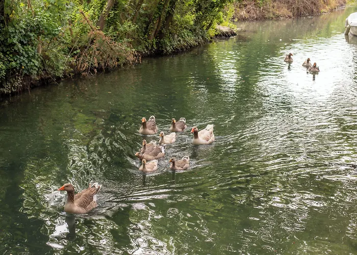 Orange Garden Otel Akyaka (Mugla)